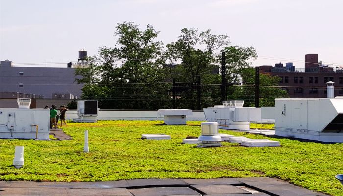 people chilling on green roof with mitigating stormwater runoff