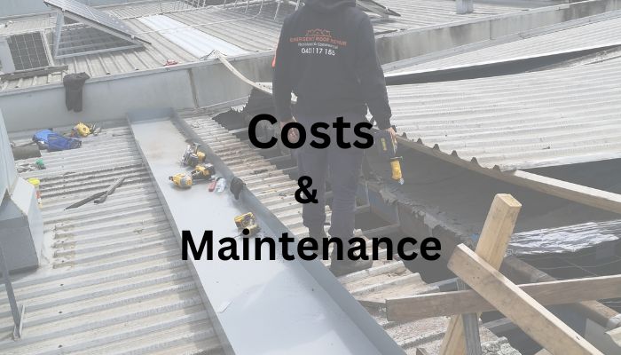 Costs and Maintenance