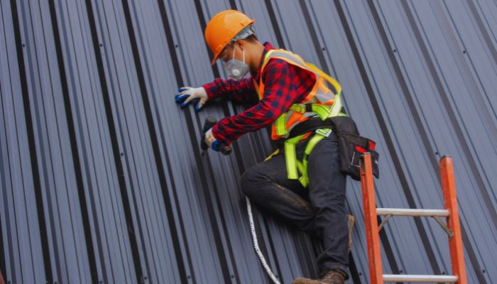 roof professional cleaning 