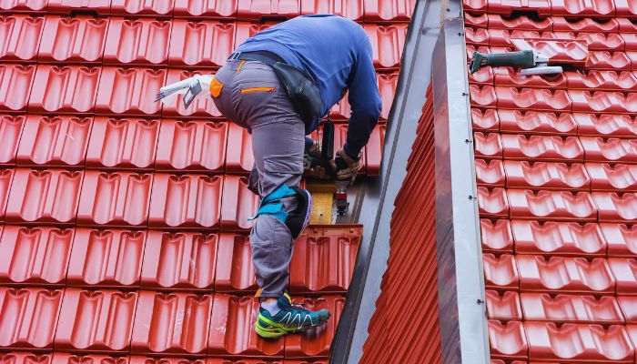 Roof Professional worker 