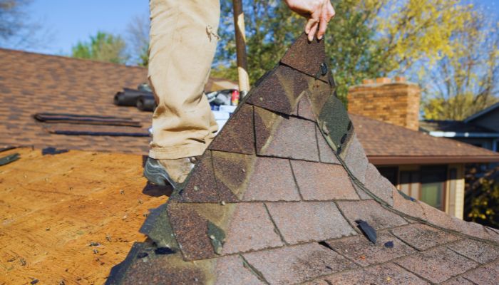 man checking roof damage 