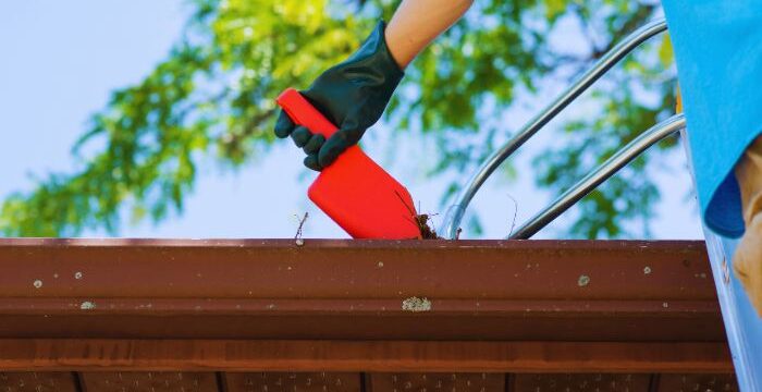 maintaining roof