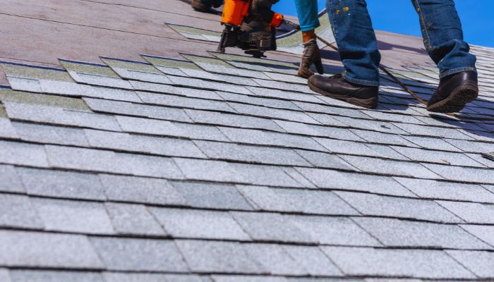 man checking coating roof 
